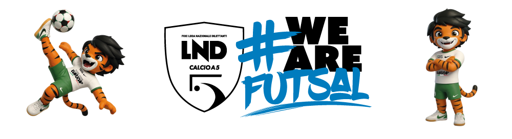 Divisione Calcio a 5
